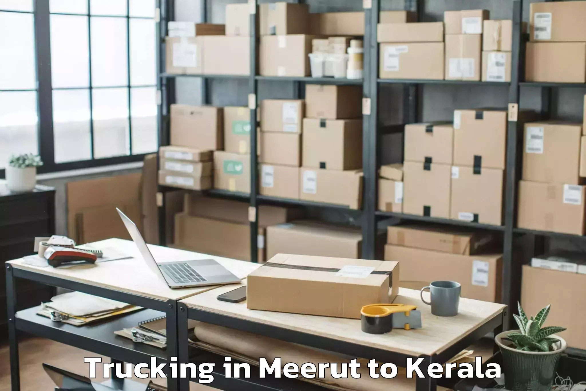 Book Meerut to Thekkumbhagam Trucking Online